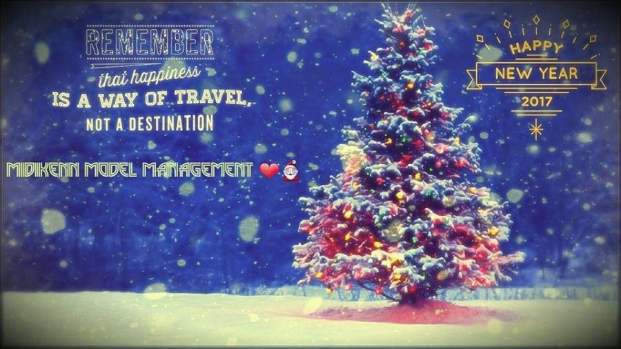 Merry Christmas & Happy New Year 2017