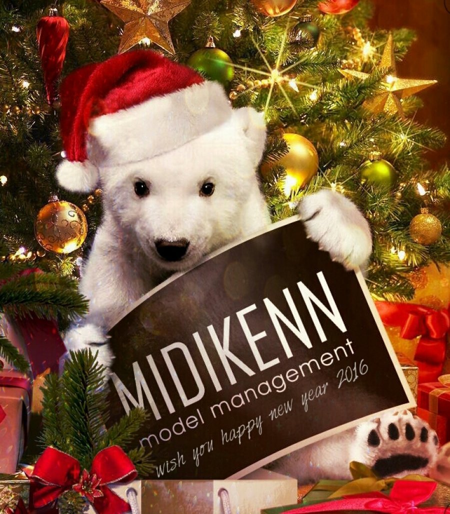 Midikenn model management želi Vam Sretan Božić i uspješnu 2016!